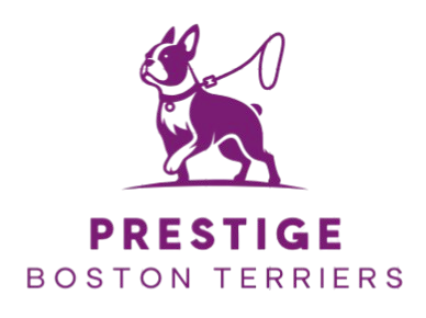 prestigebostonterriers.com